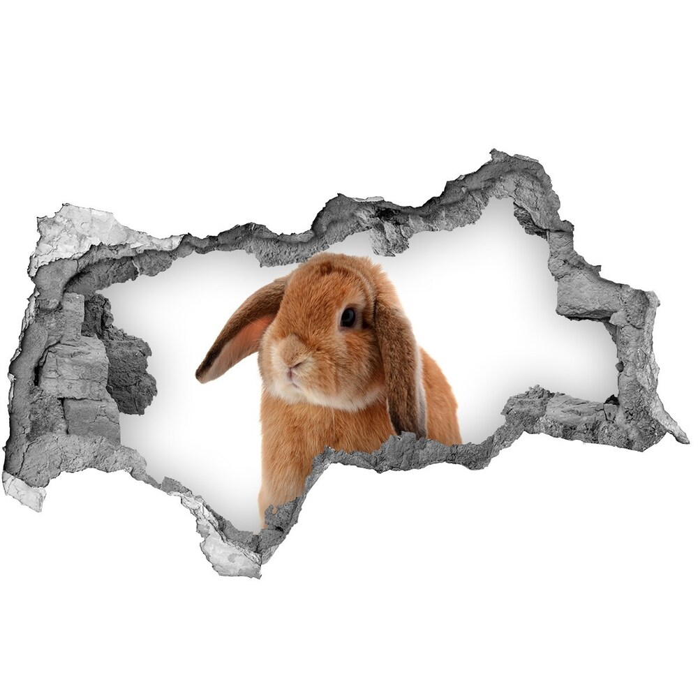 Díra 3D fototapeta nálepka Červený králík