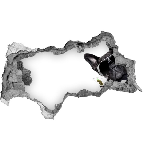 Díra 3D fototapeta nálepka Stylový pes s pitím