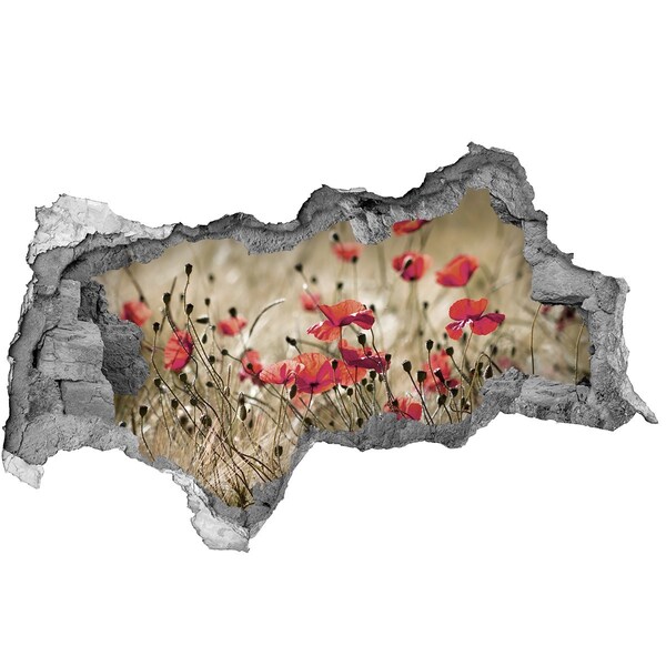 Samolepící díra nálepka beton Květinový ráj mezi betonem