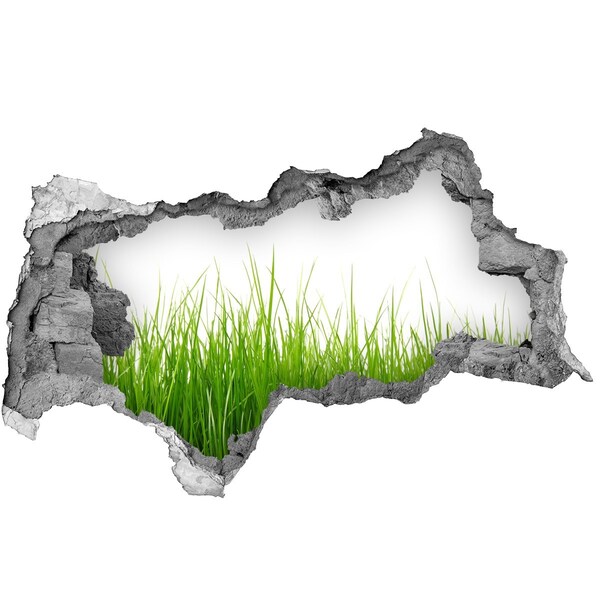 Samolepící díra nálepka beton Zelená louka za zdí