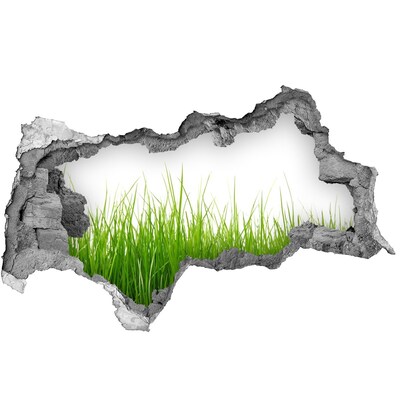 Samolepící díra nálepka beton Zelená louka za zdí