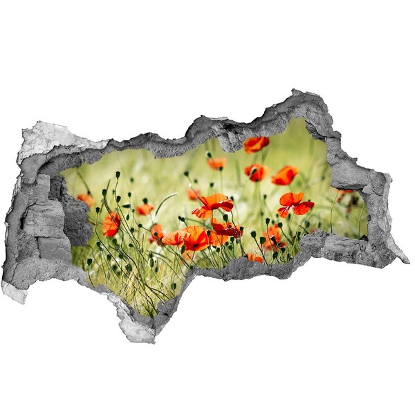 Samolepící díra nálepka beton Květinový ráj mezi máky