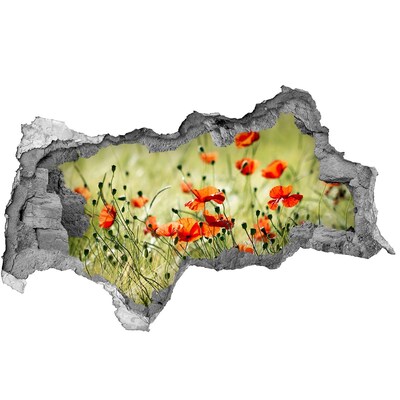 Samolepící díra nálepka beton Květinový ráj mezi máky