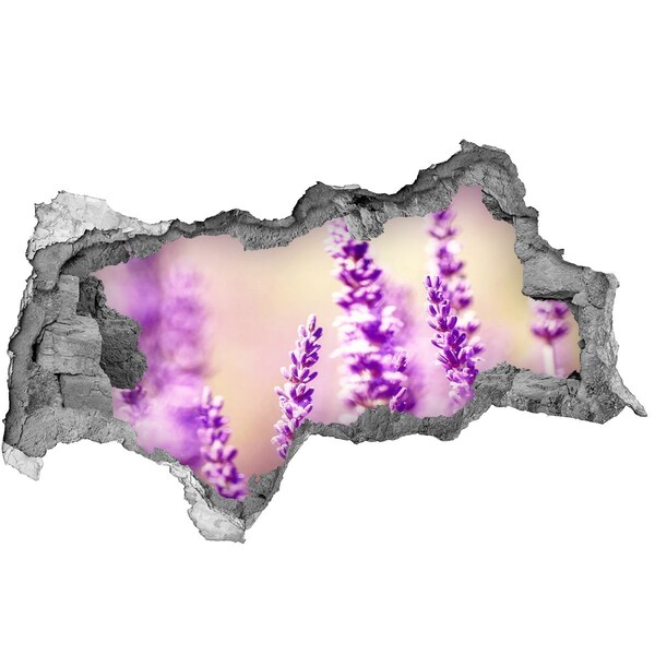Samolepící díra nálepka beton Levandule