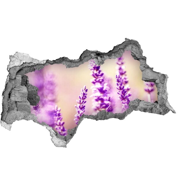 Samolepící díra nálepka beton Levandulové květy v rozbité zdi