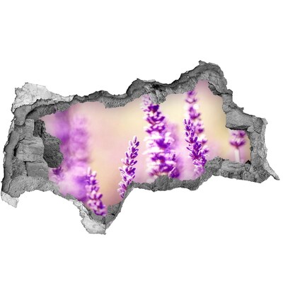Samolepící díra nálepka beton Levandule