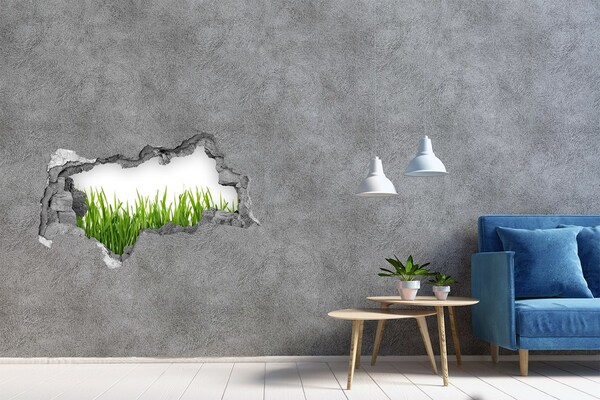 Samolepící díra nálepka beton Zelená louka za zdí