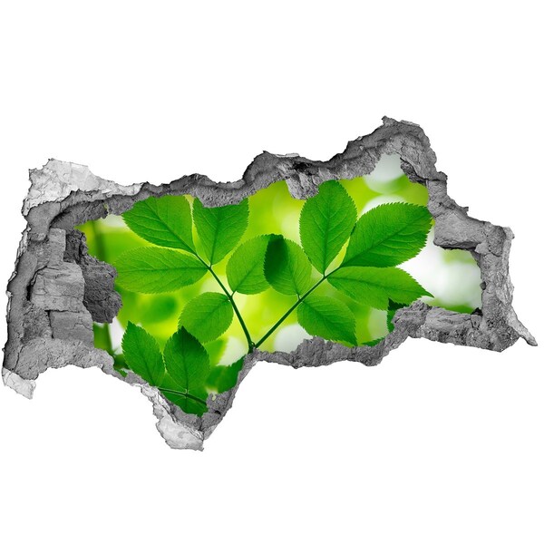 Samolepící díra nálepka Zelená oáza v betonu