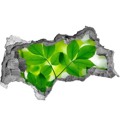 Samolepící díra nálepka Zelená oáza v betonu