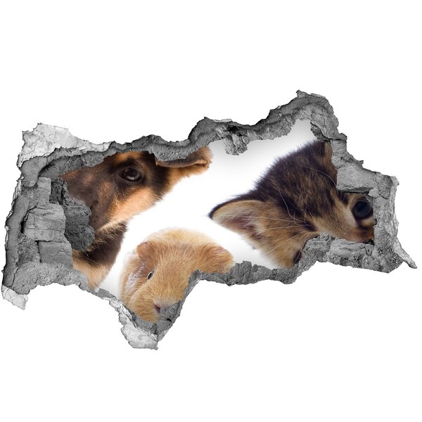 Díra 3D fototapeta nálepka Zvířata zpoza zdi