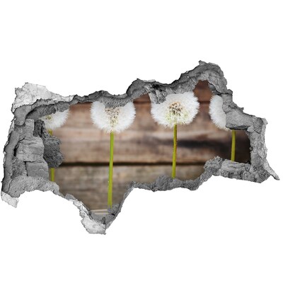 Samolepící díra nálepka Květy pampelišky v troskách