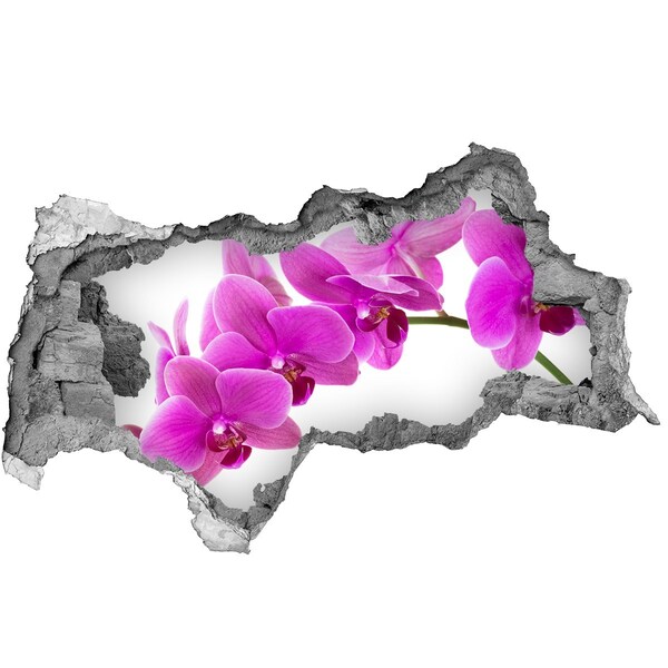 Samolepící díra nálepka Růžová orchidej