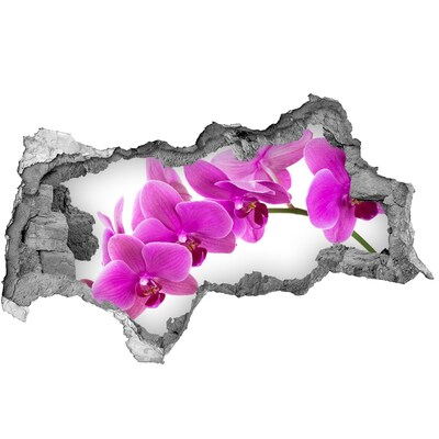 Samolepící díra nálepka Orchideje skrz díru ve zdi