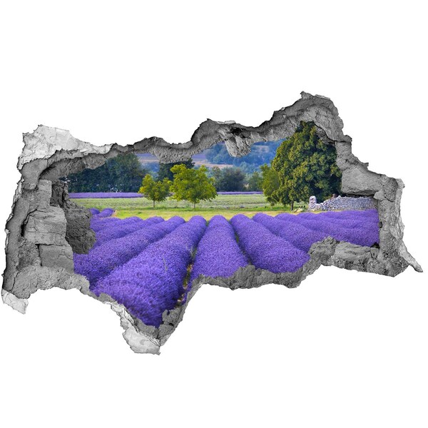 Nálepka fototapeta 3D výhled Levandulová pole v Provence