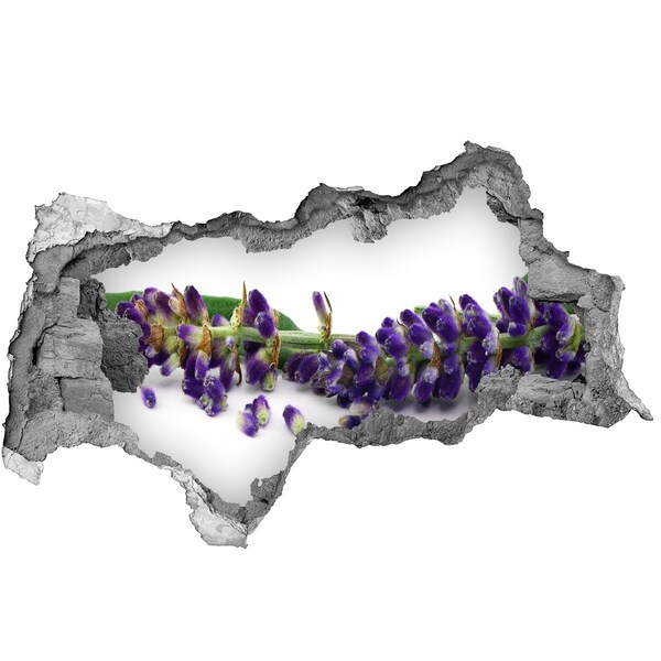 Samolepící díra nálepka beton Levandule