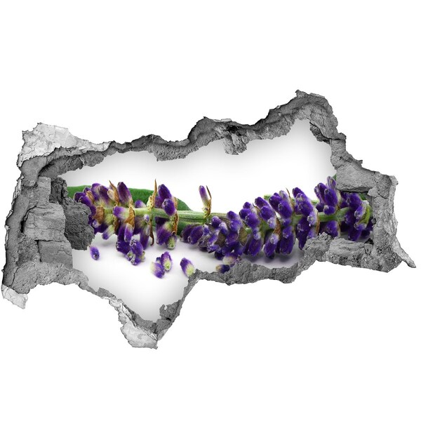 Samolepící díra nálepka beton Levandulový květ skrz díru ve zdi