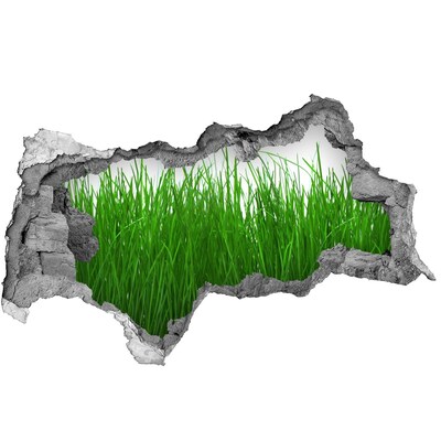 Samolepící díra na stěnu nálepka Zelená louka skrz díru ve zdi