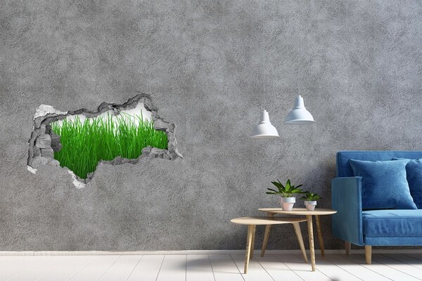 Samolepící díra na stěnu nálepka Zelená louka skrz díru ve zdi