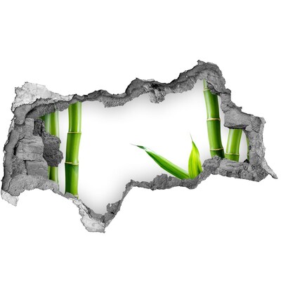 Samolepící díra na stěnu nálepka Zelená rostlina skrz díru ve zdi