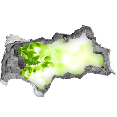 Samolepící díra nálepka beton Zelený ráj za zdí