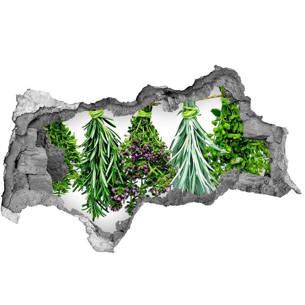 Nálepka 3D díra na zeď Bylinková zahrada Díra ve zdi