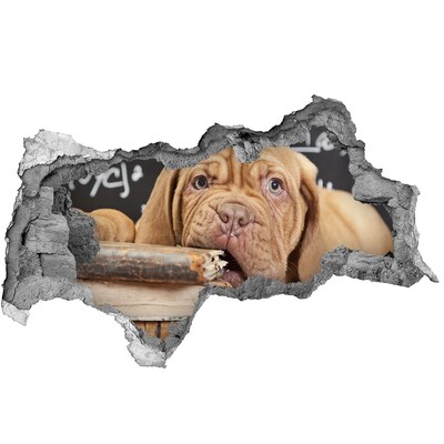 Díra 3D fototapeta Roztomilé štěňátko mezi knihami