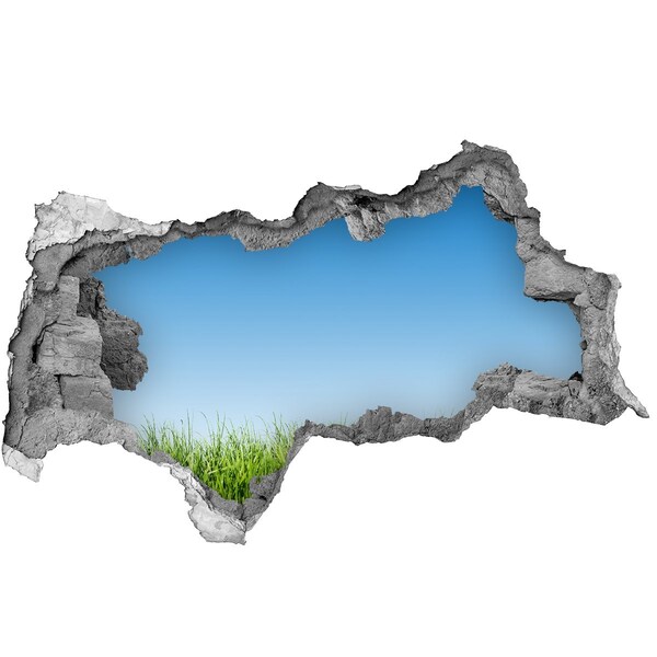 Samolepící díra na stěnu nálepka Zelená louka pod modrou oblohou