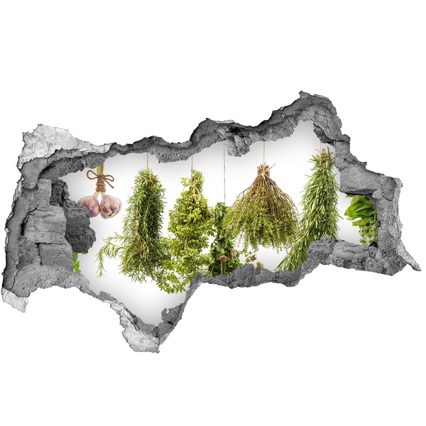 Nálepka díra na zeď beton Bylinková zahrada v troskách