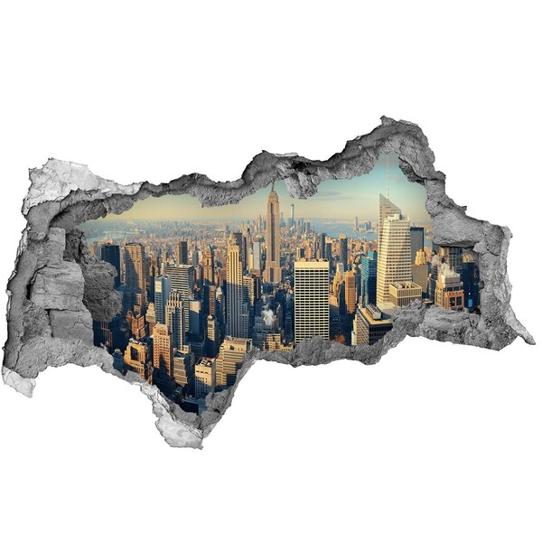 Fototapeta díra na zeď 3D Pohled na New York