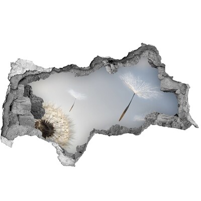 Fototapeta díra na zeď Pampelišky v oblacích