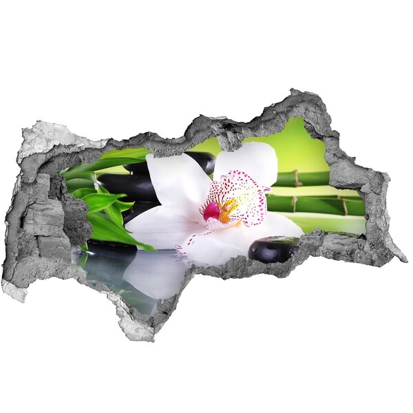 Samolepící díra na stěnu nálepka Květinová oáza klidu