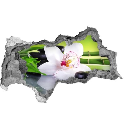 Samolepící díra na stěnu nálepka Květinová oáza klidu