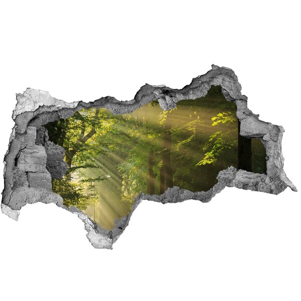 Nálepka fototapeta 3D výhled Lesní oáza světla