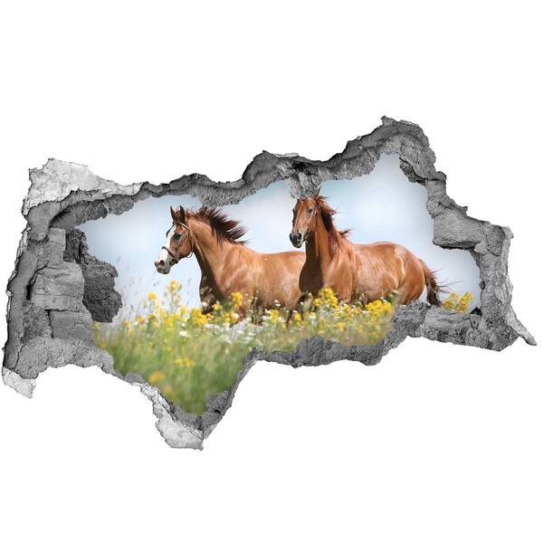 Díra 3D fototapeta Dva koně ve cvalu