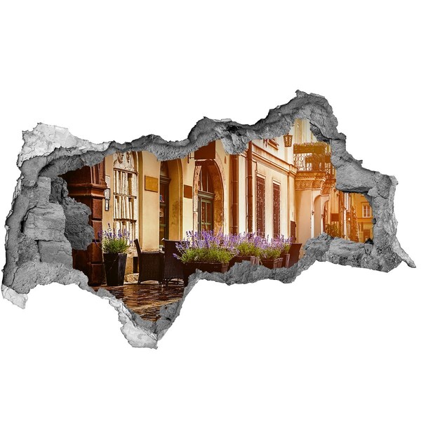 Fototapeta díra na zeď 3D Okouzlující koutek s levandulí