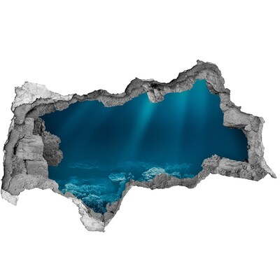 Nálepka fototapeta 3D na zeď Podvodní svět korálů