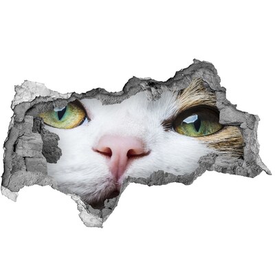 Díra 3D fototapeta nálepka Kočka ve zdi