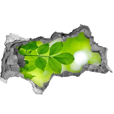 Samolepící díra na stěnu Zelená oáza v betonu