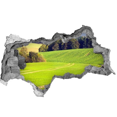 Nálepka fototapeta 3D výhled Zelená louka za zdí