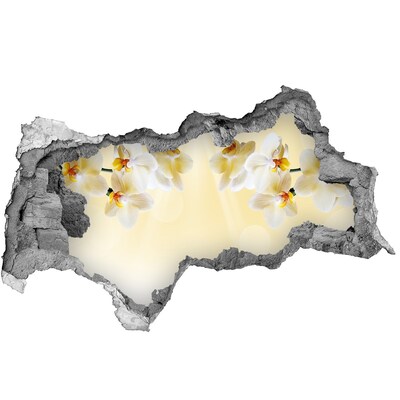 Samolepící díra na stěnu nálepka Květinová oáza za zdí