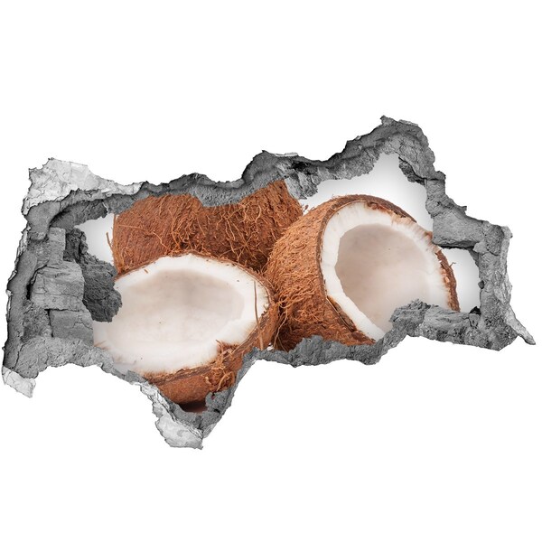 Nálepka 3D díra na zeď Kokos