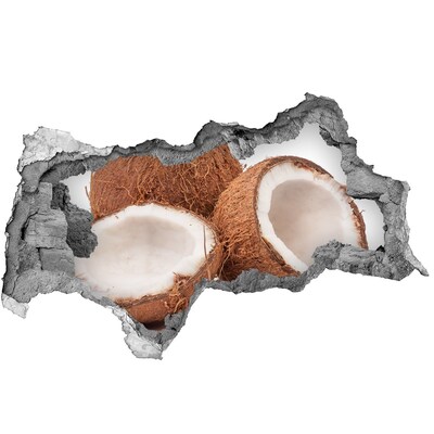 Nálepka 3D díra na zeď Kokos