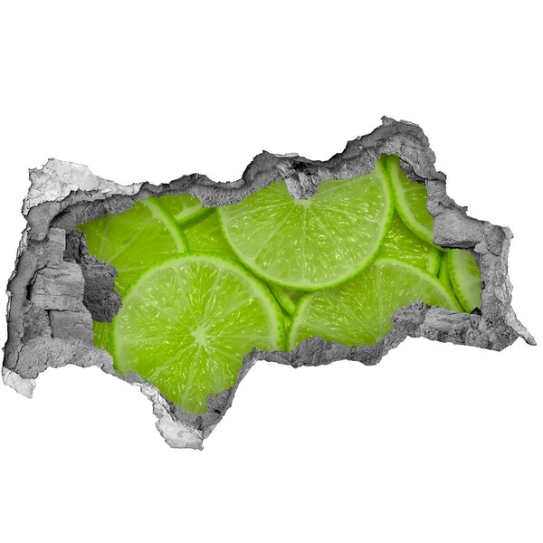 Nálepka 3D díra na zeď beton Citronový ráj