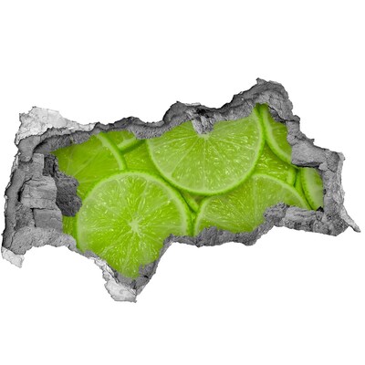 Nálepka 3D díra na zeď beton Citronový ráj