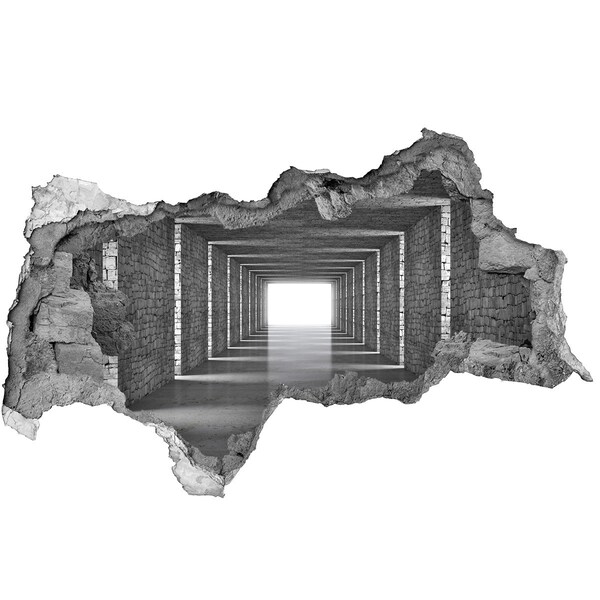 Díra 3D fototapeta na stěnu Průhledná chodba v betonu