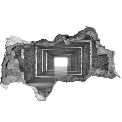 Díra 3D fototapeta na stěnu Průhledná chodba v betonu