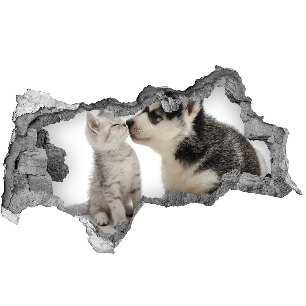 Díra 3D fototapeta nálepka Pes a kočka