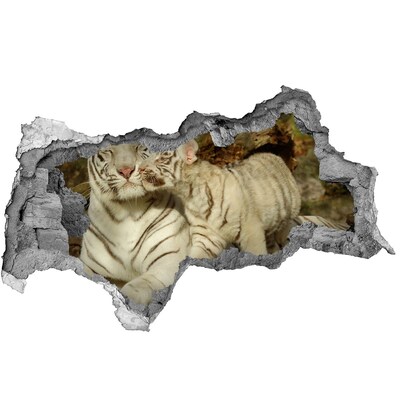 Díra 3D fototapeta nálepka Tygři