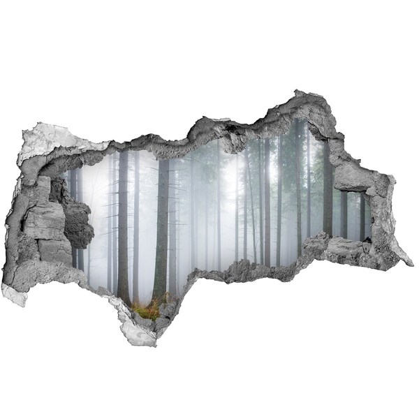 Nálepka fototapeta 3D výhled Mlžný les