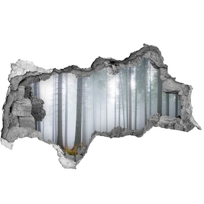 Nálepka fototapeta 3D výhled Mlžný les